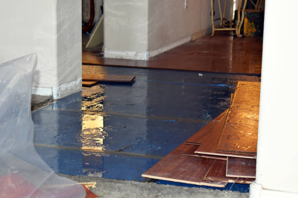 Professional Burst Pipe Cleanup technician working in Tilton, IL